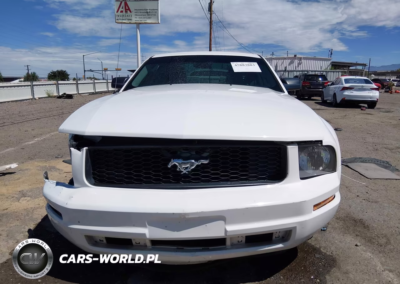 2005 Ford Mustang V6 Deluxe-V6 Premium VIN:1ZVFT80N355118319 - 12