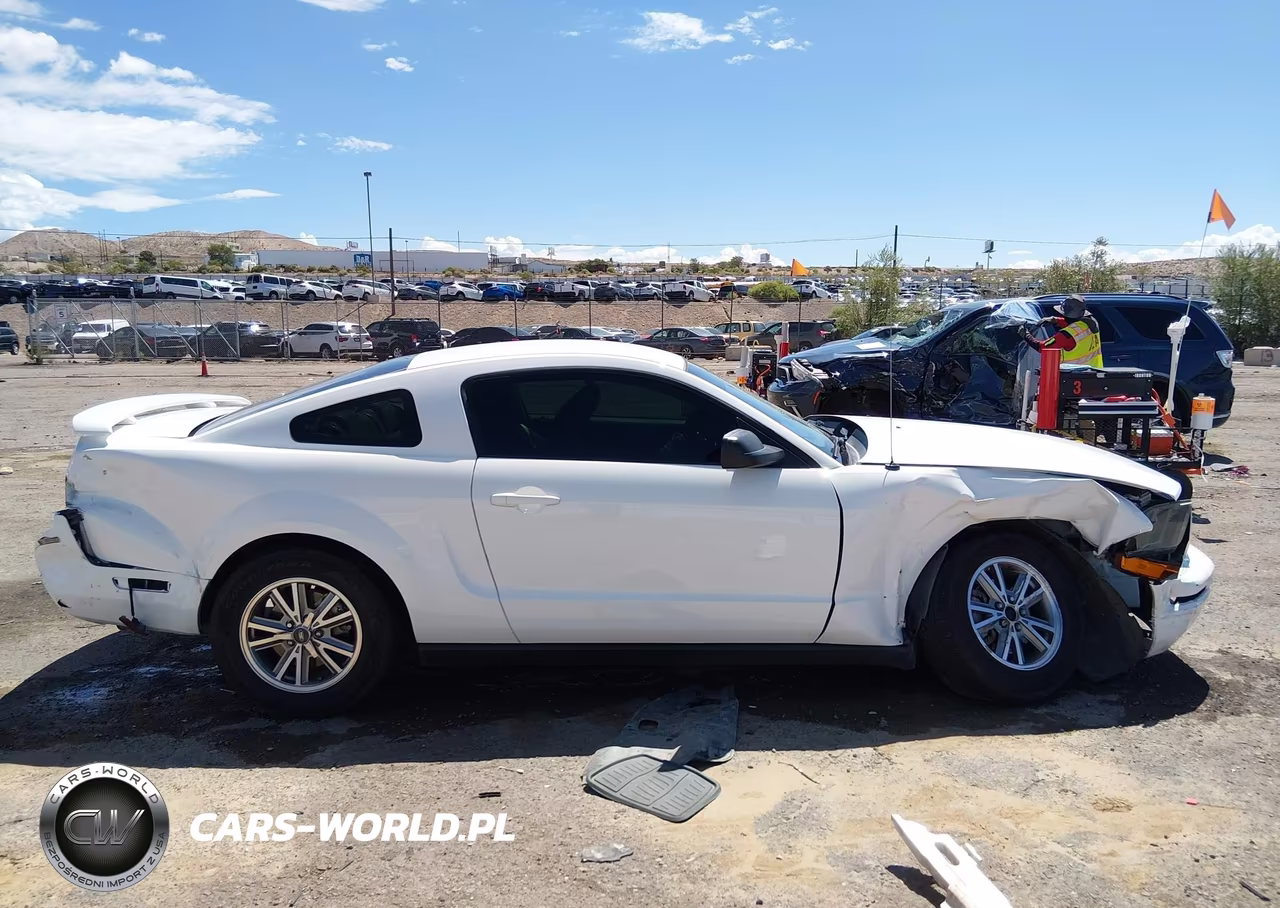2005 Ford Mustang V6 Deluxe-V6 Premium VIN:1ZVFT80N355118319 - 13