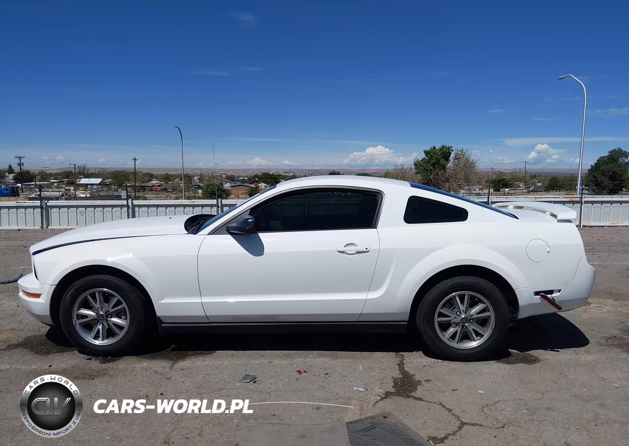 2005 Ford Mustang V6 Deluxe-V6 Premium VIN:1ZVFT80N355118319 - 14