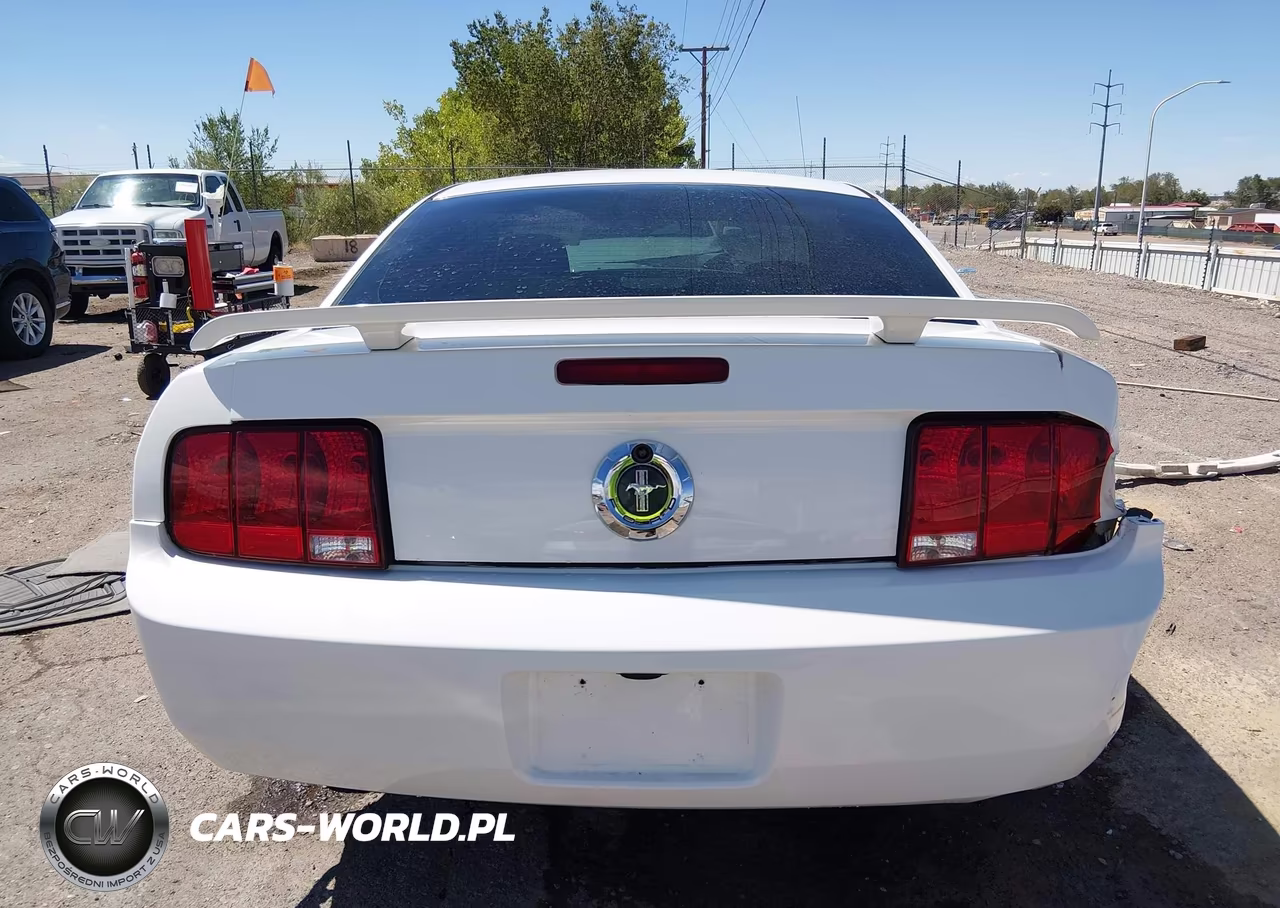 2005 Ford Mustang V6 Deluxe-V6 Premium VIN:1ZVFT80N355118319 - 16