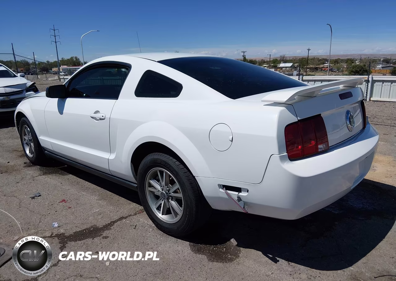 2005 Ford Mustang V6 Deluxe-V6 Premium VIN:1ZVFT80N355118319 - 3