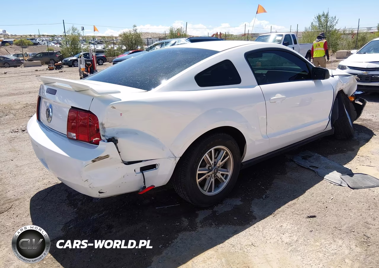 2005 Ford Mustang V6 Deluxe-V6 Premium VIN:1ZVFT80N355118319 - 4