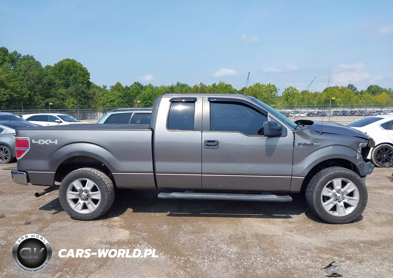 2011 Ford F-150 Fx4-Lariat-Stx-Xl-Xlt VIN:1FTFX1EF6BFC96733 - 12