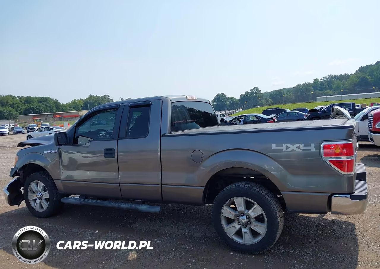 2011 Ford F-150 Fx4-Lariat-Stx-Xl-Xlt VIN:1FTFX1EF6BFC96733 - 13