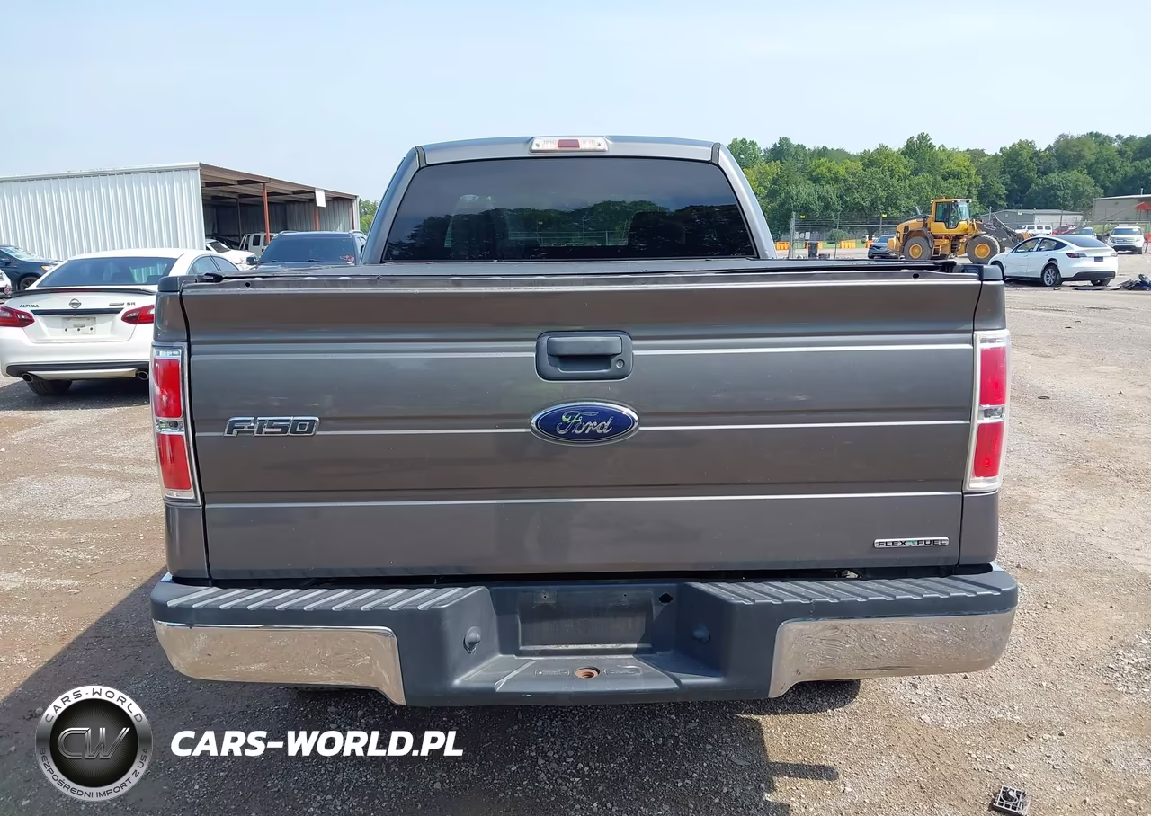2011 Ford F-150 Fx4-Lariat-Stx-Xl-Xlt VIN:1FTFX1EF6BFC96733 - 15