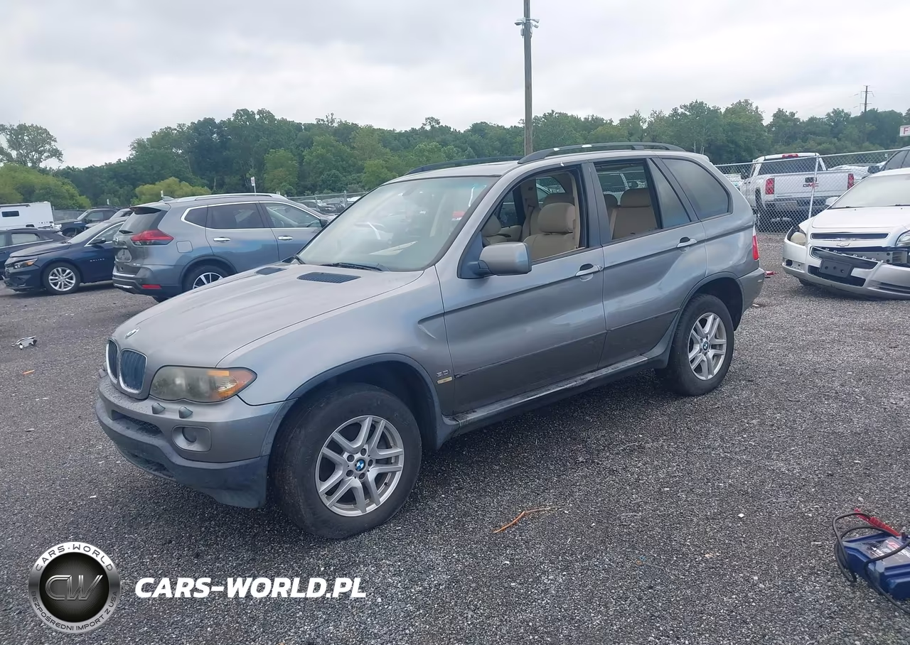 2005 BMW X5 3.0I VIN:5UXFA13545LY14600 - 2