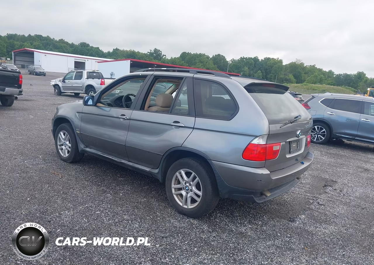 2005 BMW X5 3.0I VIN:5UXFA13545LY14600 - 3