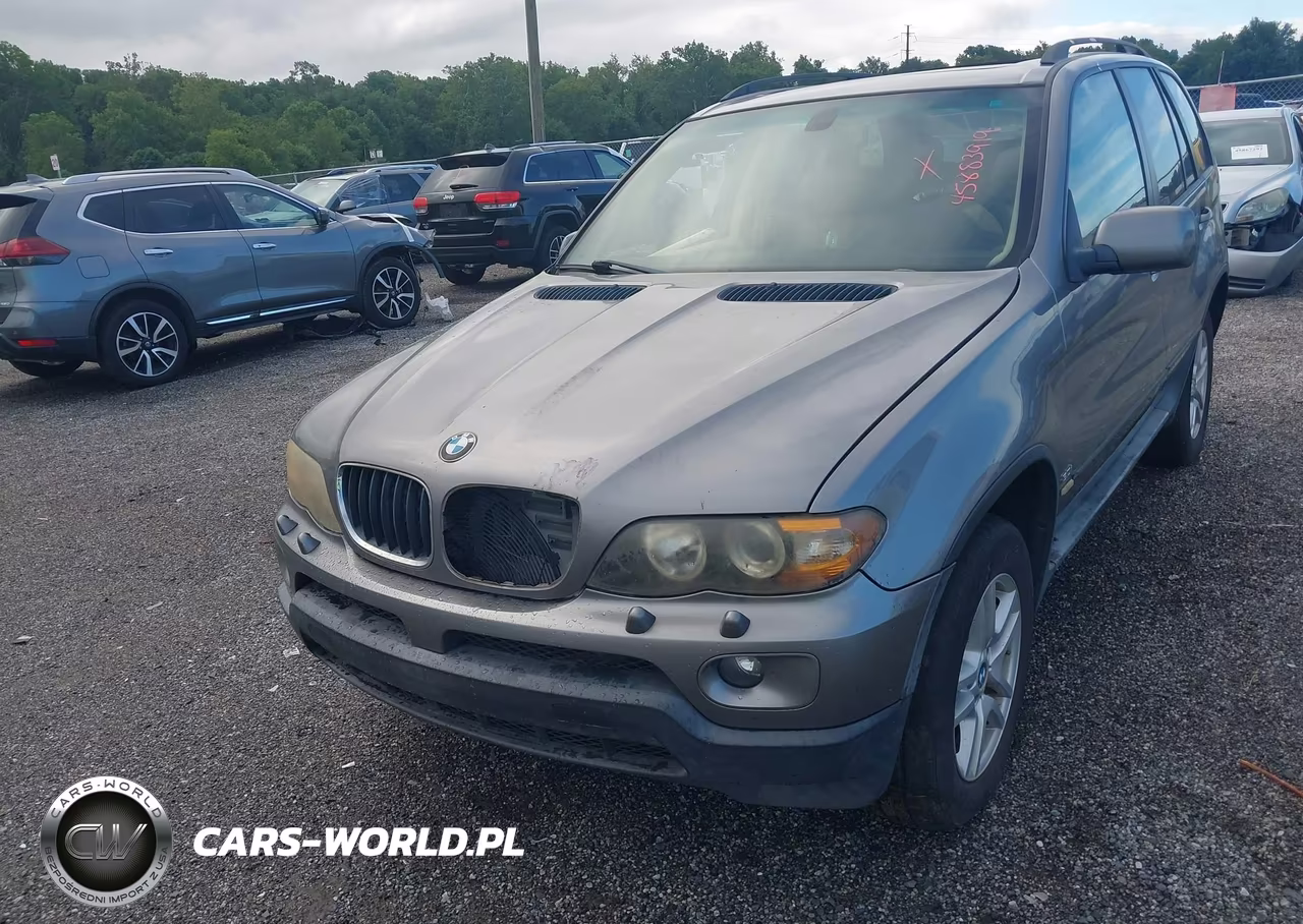 2005 BMW X5 3.0I VIN:5UXFA13545LY14600 - 6