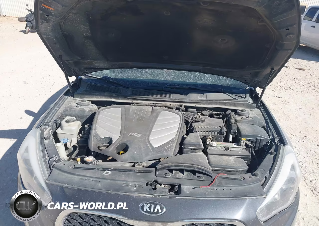 2014 Kia Cadenza Limited VIN:KNALN4D76E5145869 - 10