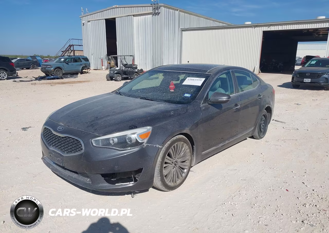 2014 Kia Cadenza Limited VIN:KNALN4D76E5145869 - 2