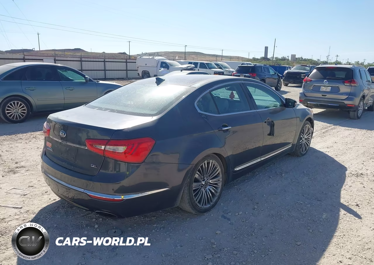 2014 Kia Cadenza Limited VIN:KNALN4D76E5145869 - 4