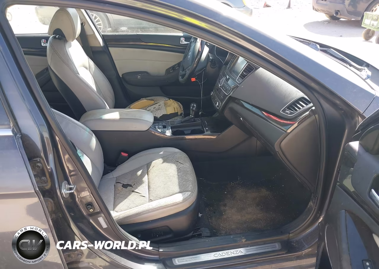 2014 Kia Cadenza Limited VIN:KNALN4D76E5145869 - 5