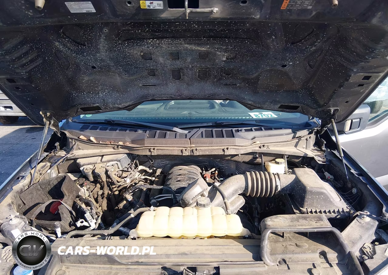 2022 Ford F-150 Xl VIN:1FTFW1E59NFA52105 - 10