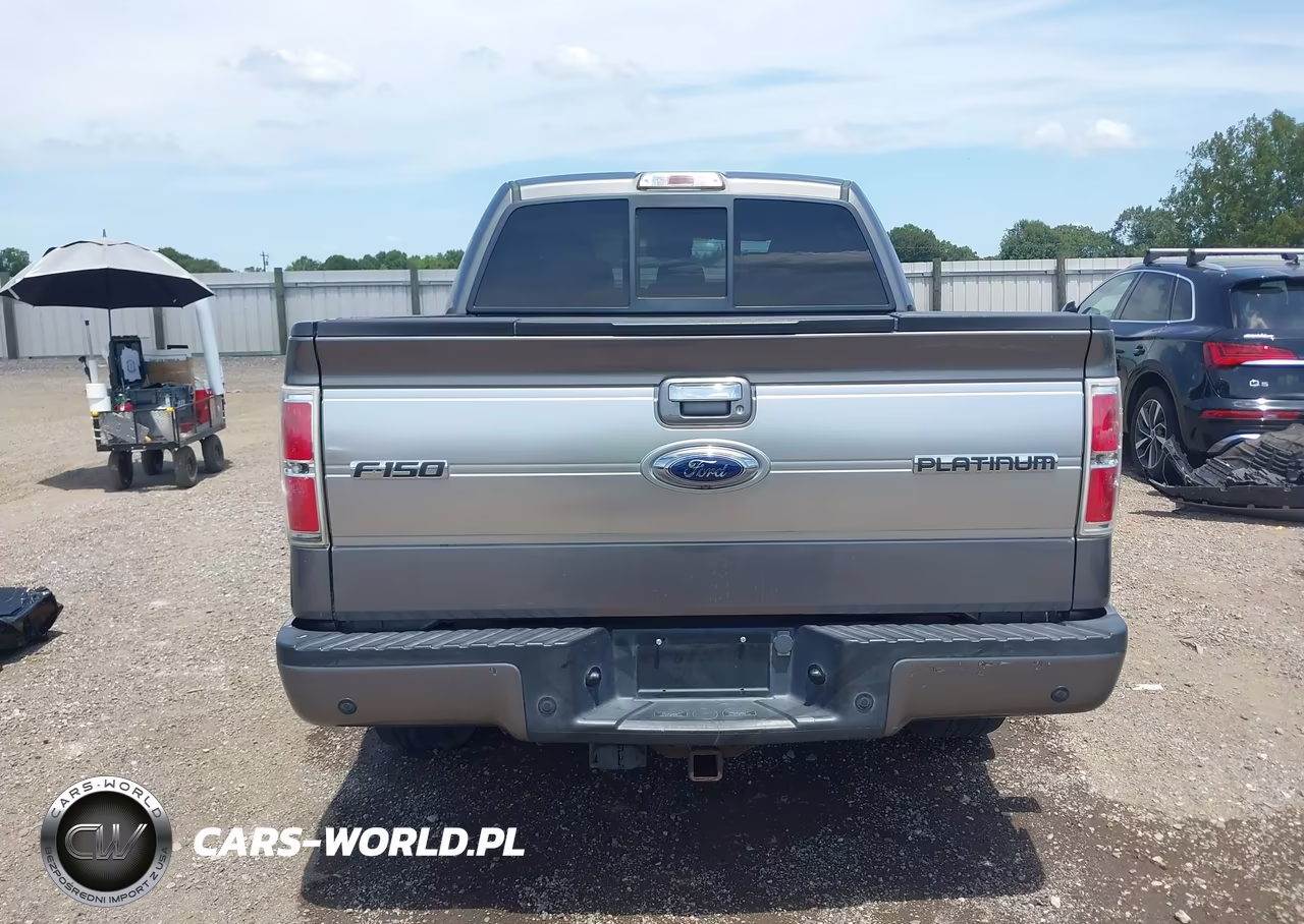 2013 Ford F-150 Platinum VIN:1FTFW1CT9DFB88153 - 16