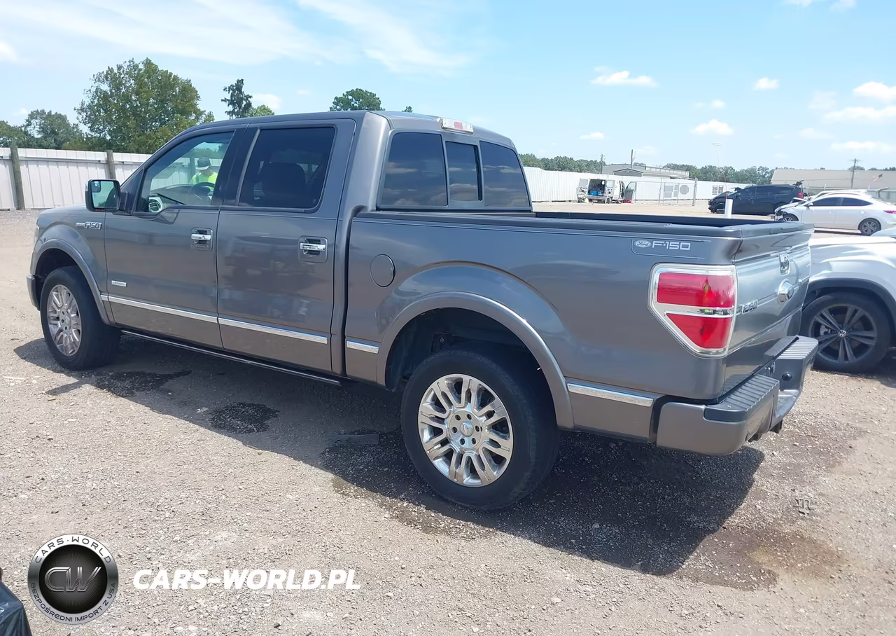 2013 Ford F-150 Platinum VIN:1FTFW1CT9DFB88153 - 3