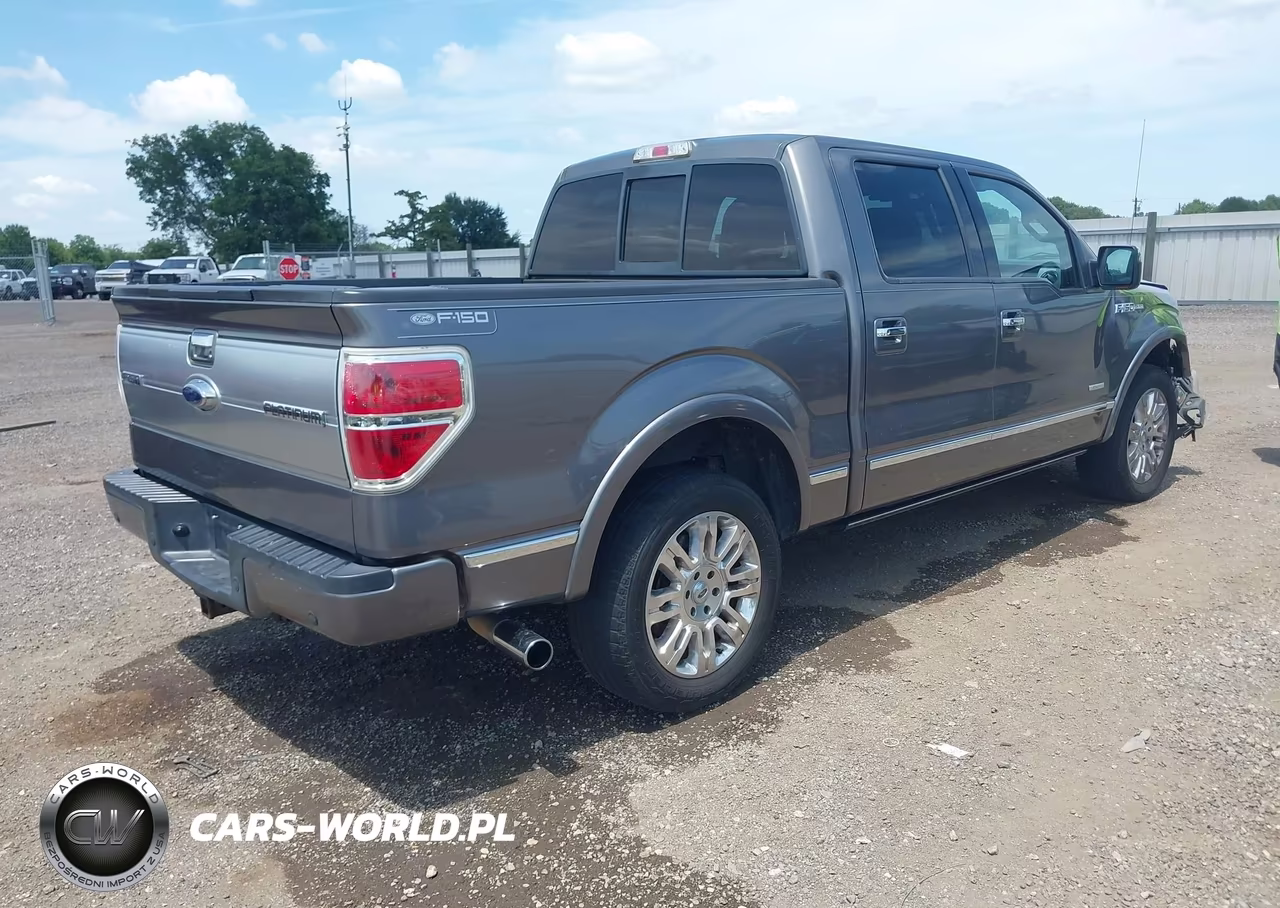 2013 Ford F-150 Platinum VIN:1FTFW1CT9DFB88153 - 4