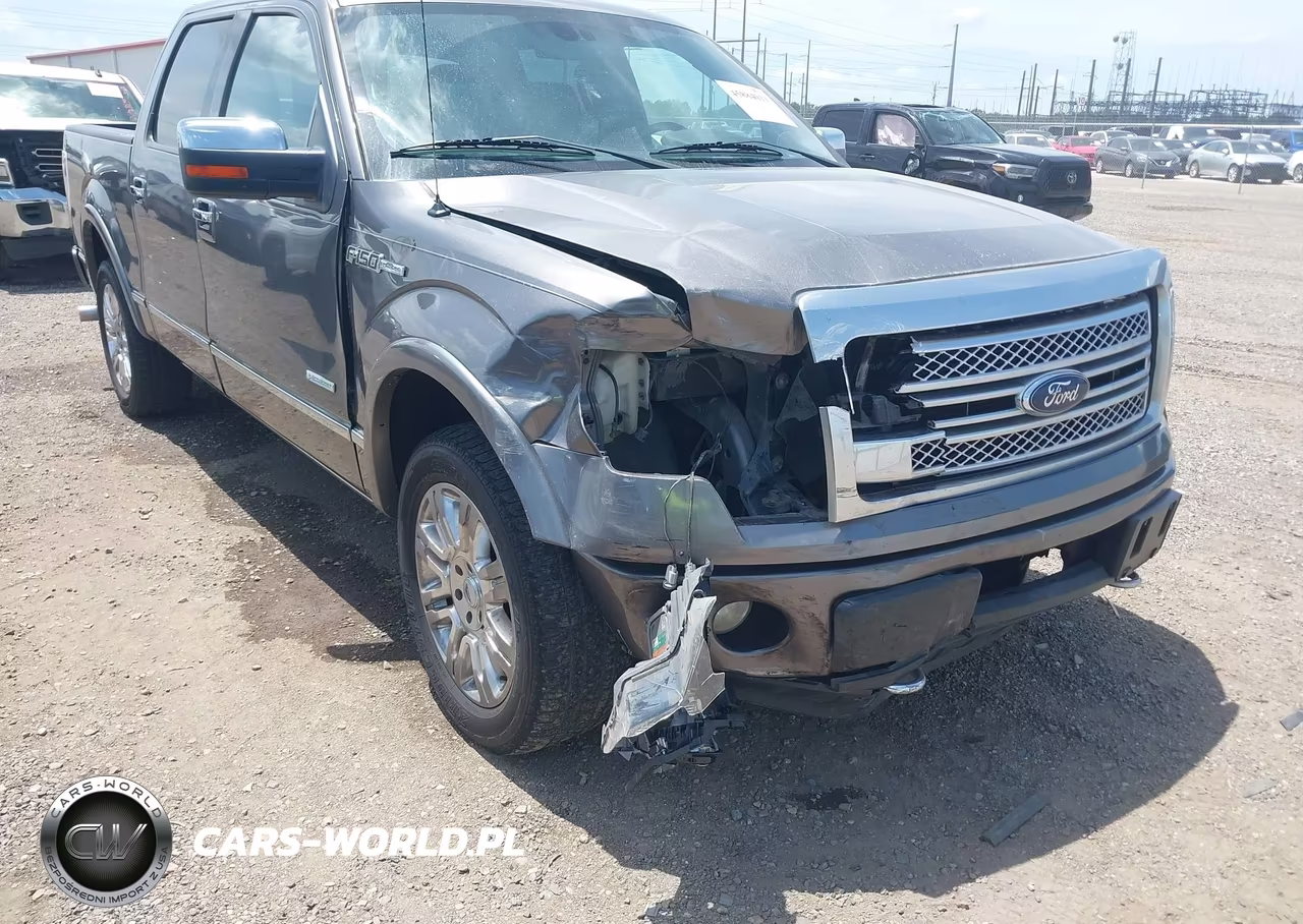 2013 Ford F-150 Platinum VIN:1FTFW1CT9DFB88153 - 6