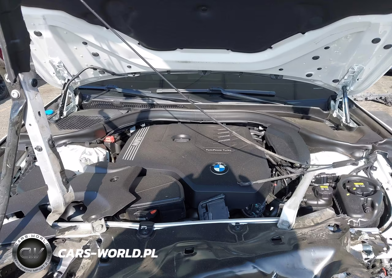2021 BMW 530I VIN:WBA53BH0XMCF21440 - 10