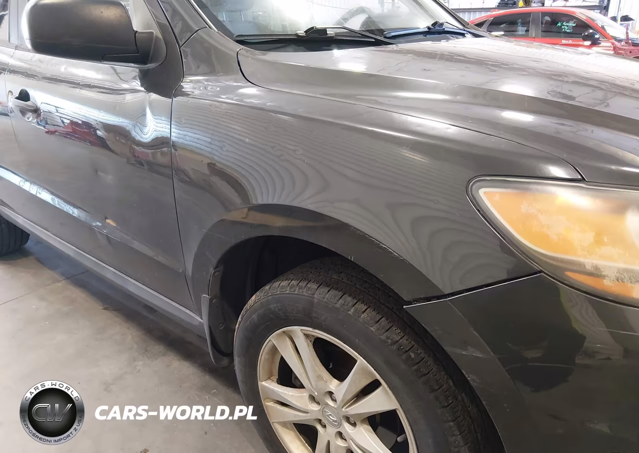 2010 Hyundai Santa Fe Gls VIN:5NMSG3ABXAH411655 - 6