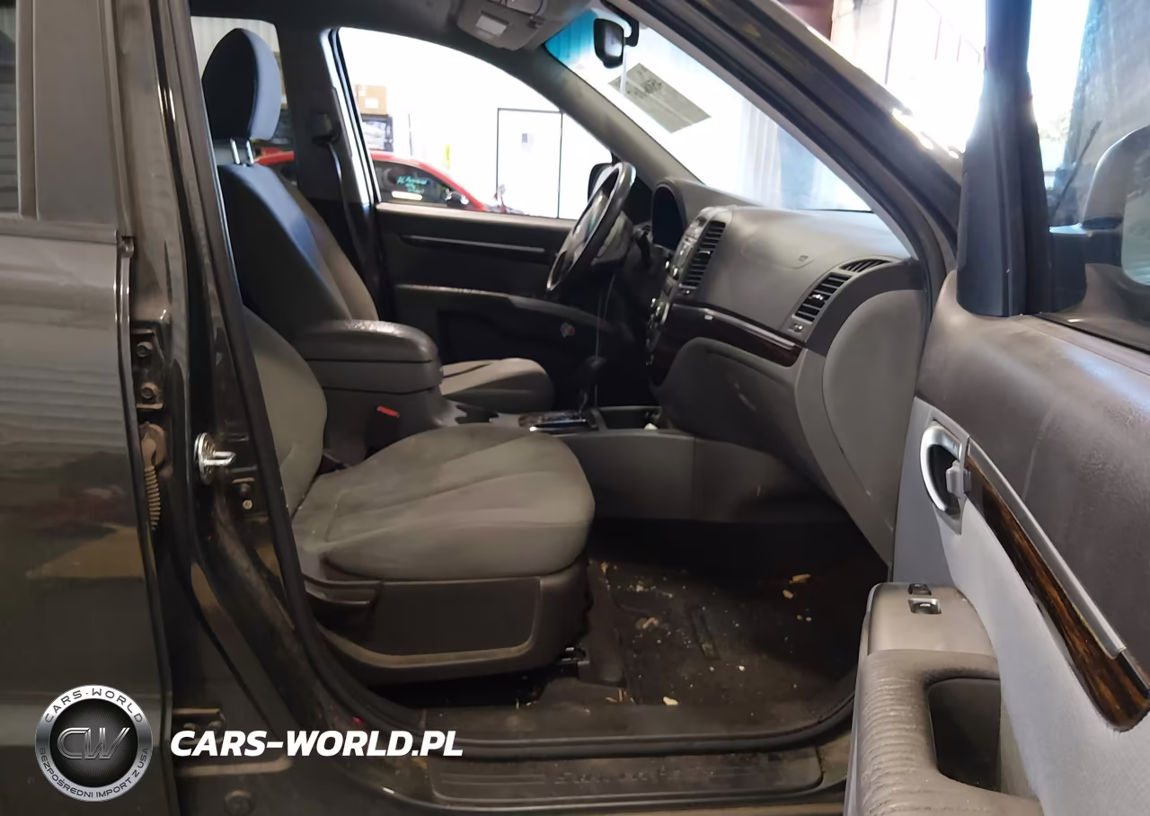 2010 Hyundai Santa Fe Gls VIN:5NMSG3ABXAH411655 - 8