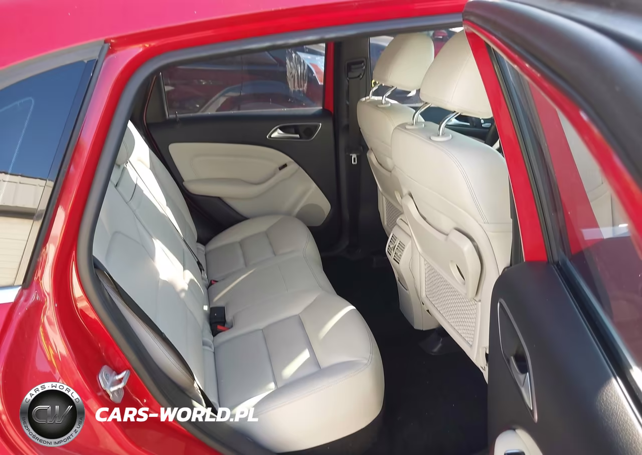 2016 Mercedes-Benz B 250E VIN:WDDVP9AB0GJ009152 - 8