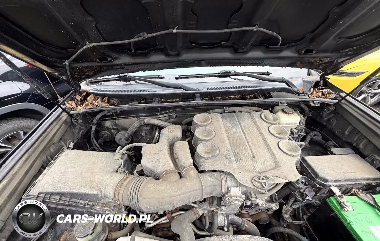 2010 Toyota 4Runner Sr5 V6 VIN:JTEBU5JR6A5012659 - 10