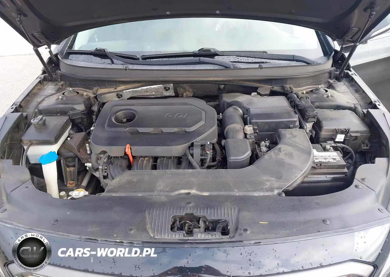 2015 Hyundai Sonata Sport VIN:5NPE34AF2FH143230 - 10