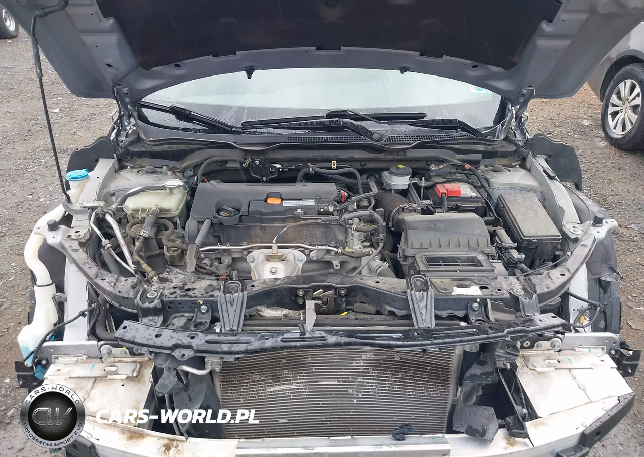 2019 Honda Civic Sport VIN:2HGFC2F87KH503423 - 10