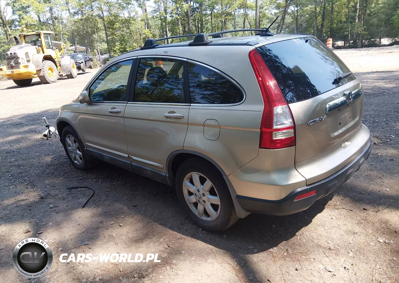 2009 Honda Cr-V Ex-L VIN:5J6RE38709L004079 - 3