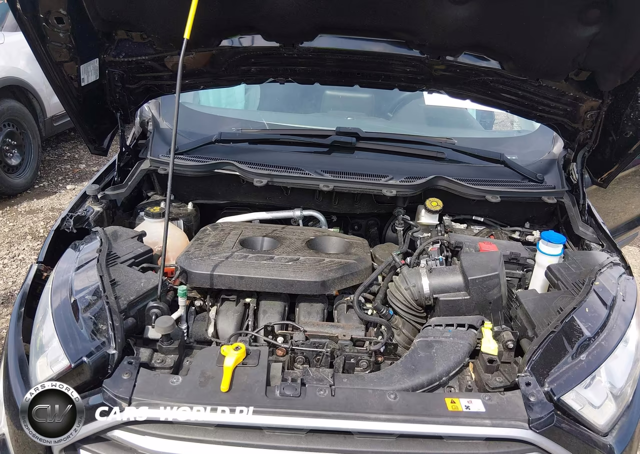 2020 Ford Ecosport Se VIN:MAJ6S3GL0LC367205 - 10