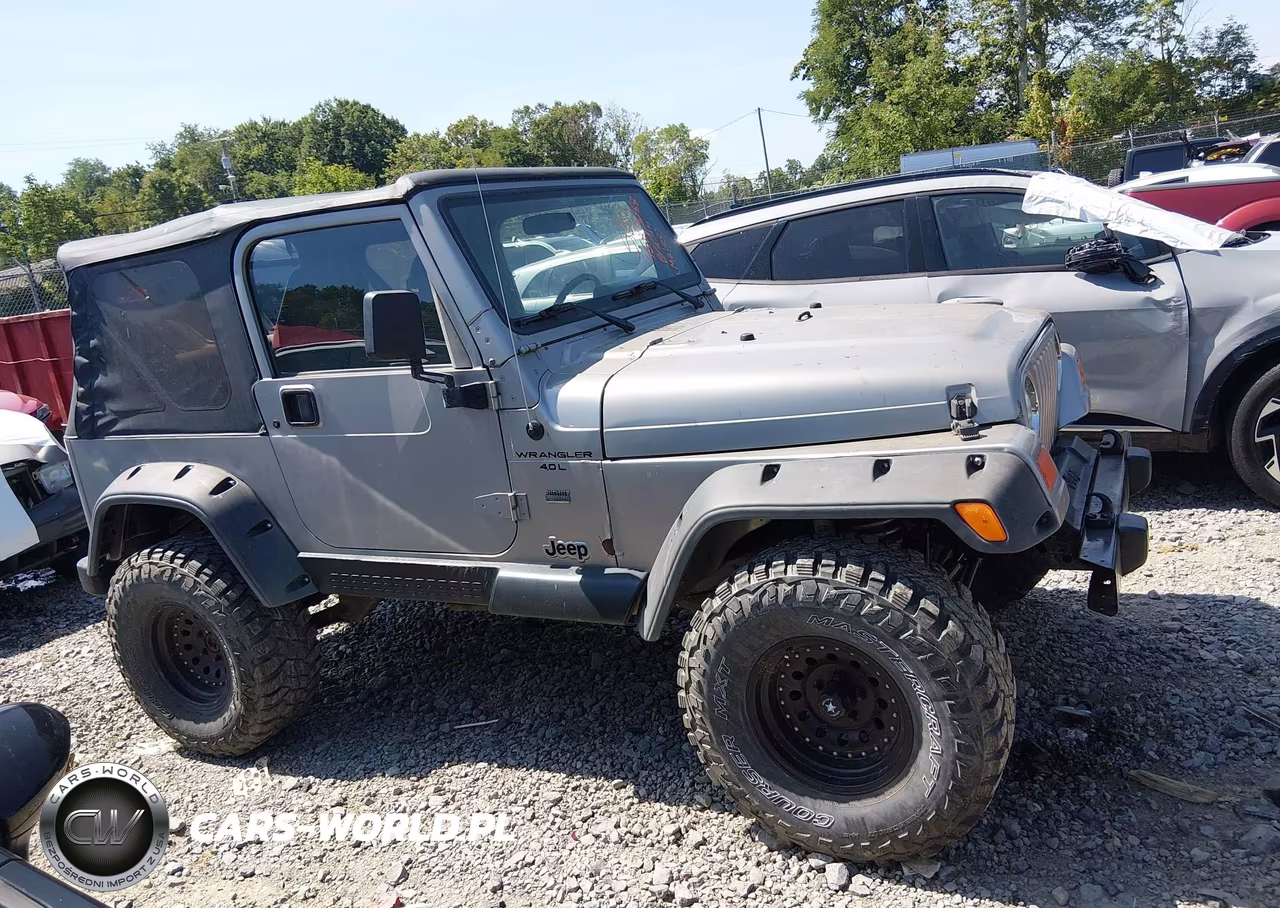 2001 Jeep Wrangler Sport VIN:1J4FA49S81P343953 - 13