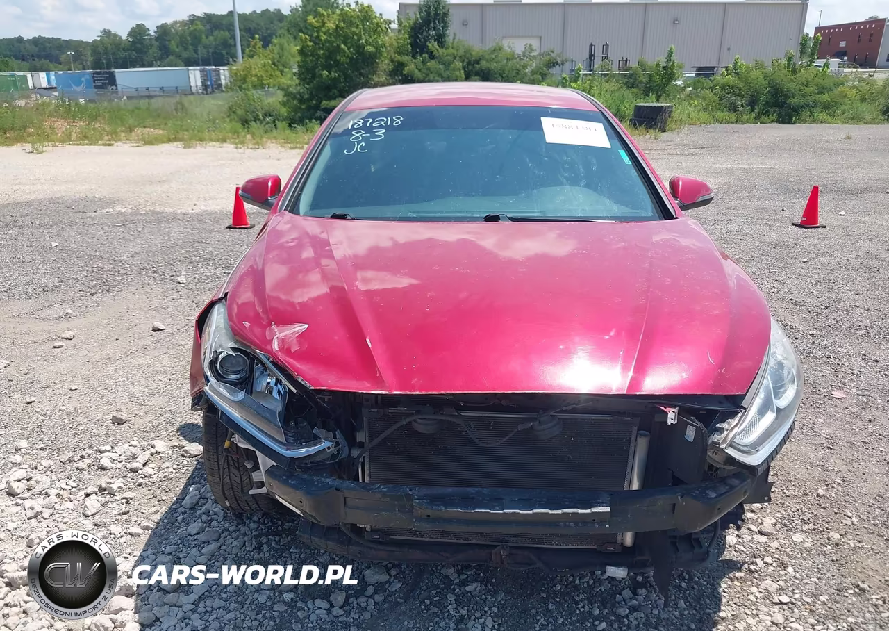 2019 Hyundai Sonata Sel VIN:5NPE34AF7KH737290 - 13