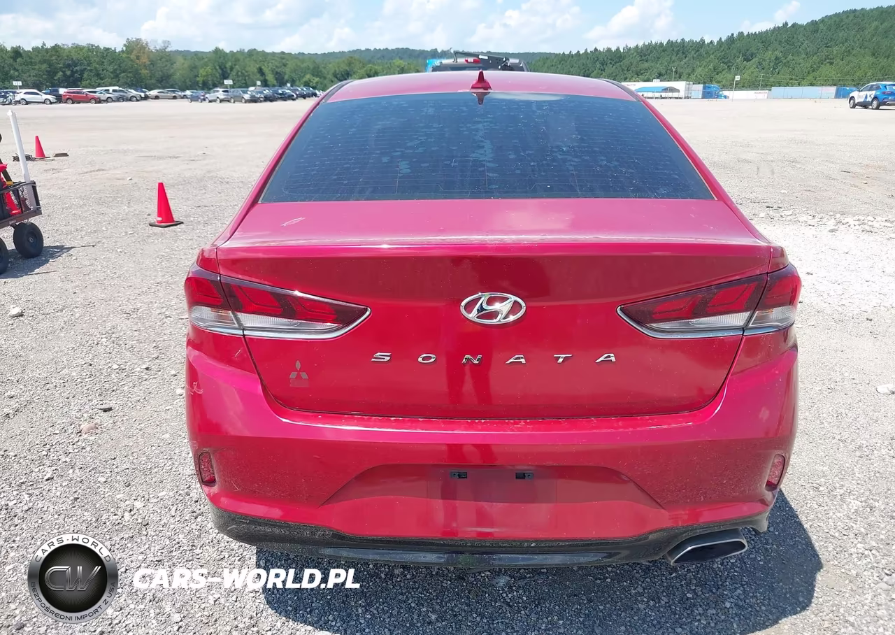 2019 Hyundai Sonata Sel VIN:5NPE34AF7KH737290 - 17