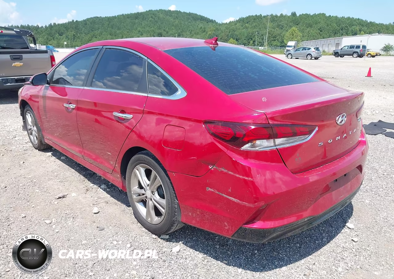 2019 Hyundai Sonata Sel VIN:5NPE34AF7KH737290 - 3