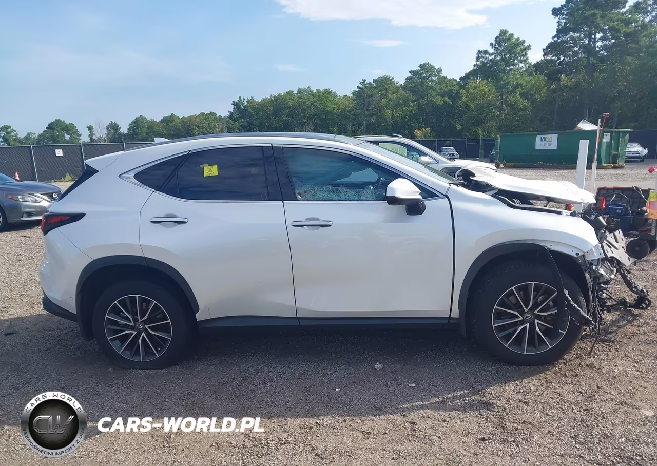 2024 Lexus Nx 350H Luxury VIN:JTJHKCEZ1R2017684 - 14
