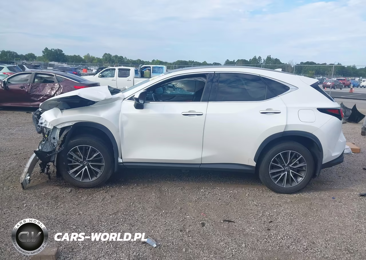 2024 Lexus Nx 350H Luxury VIN:JTJHKCEZ1R2017684 - 15