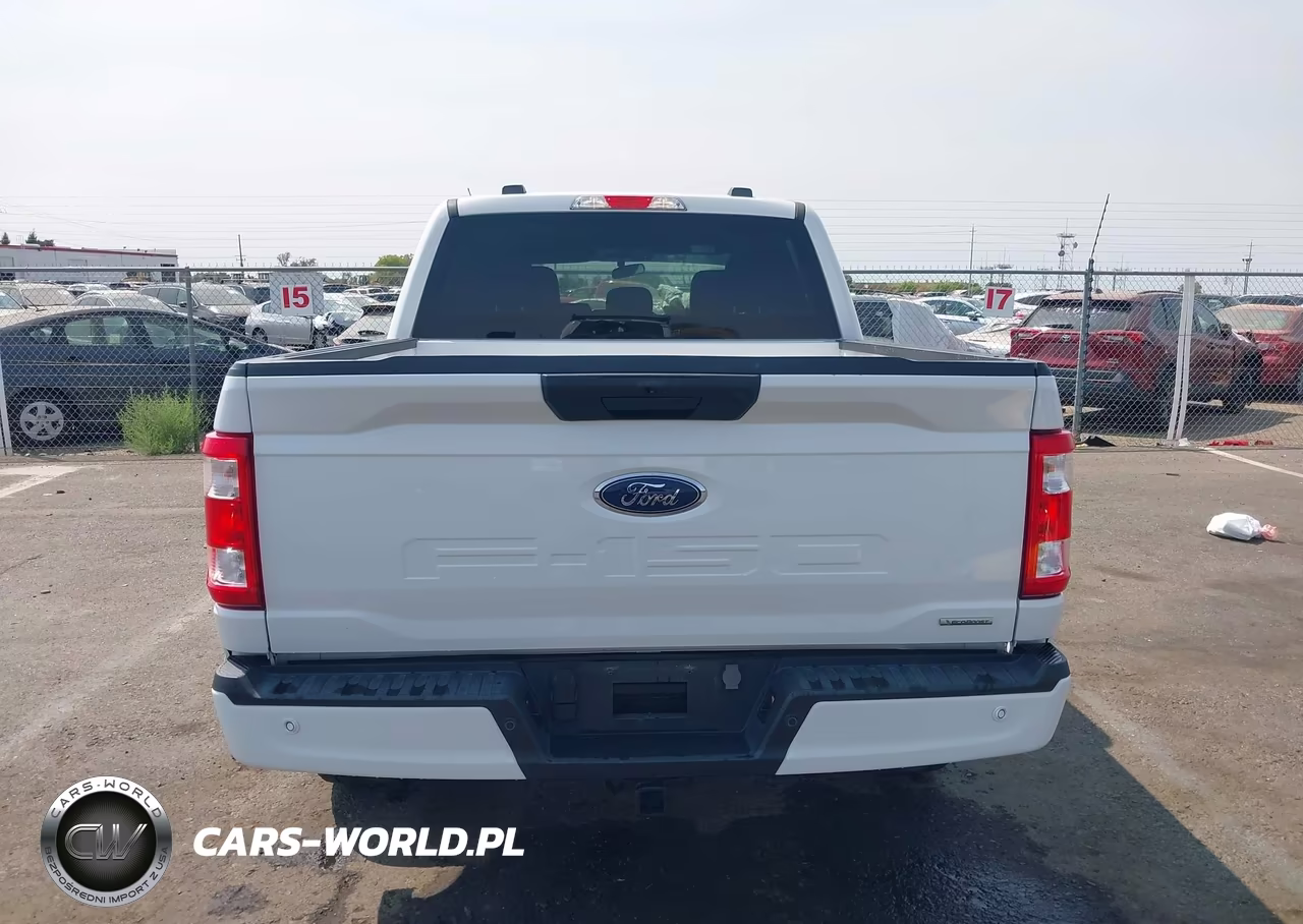 2023 Ford F-150 Xl VIN:1FTEW1EP7PKE41526 - 16