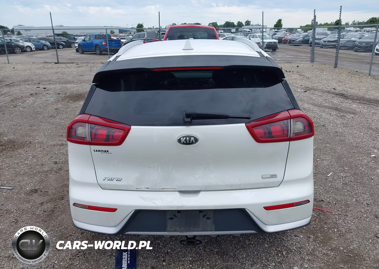 2019 Kia Niro Lx VIN:KNDCB3LC2K5243779 - 17
