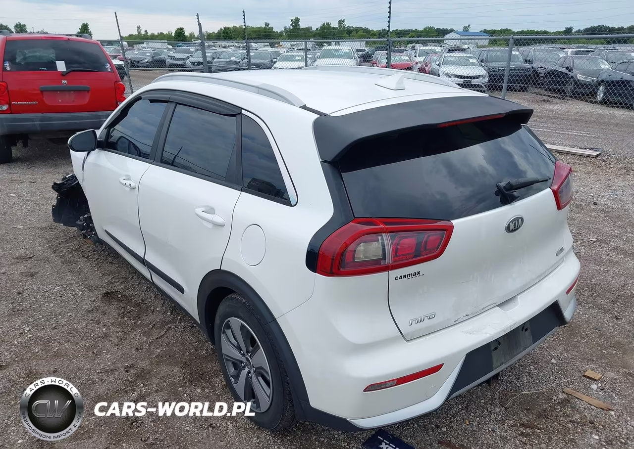 2019 Kia Niro Lx VIN:KNDCB3LC2K5243779 - 3