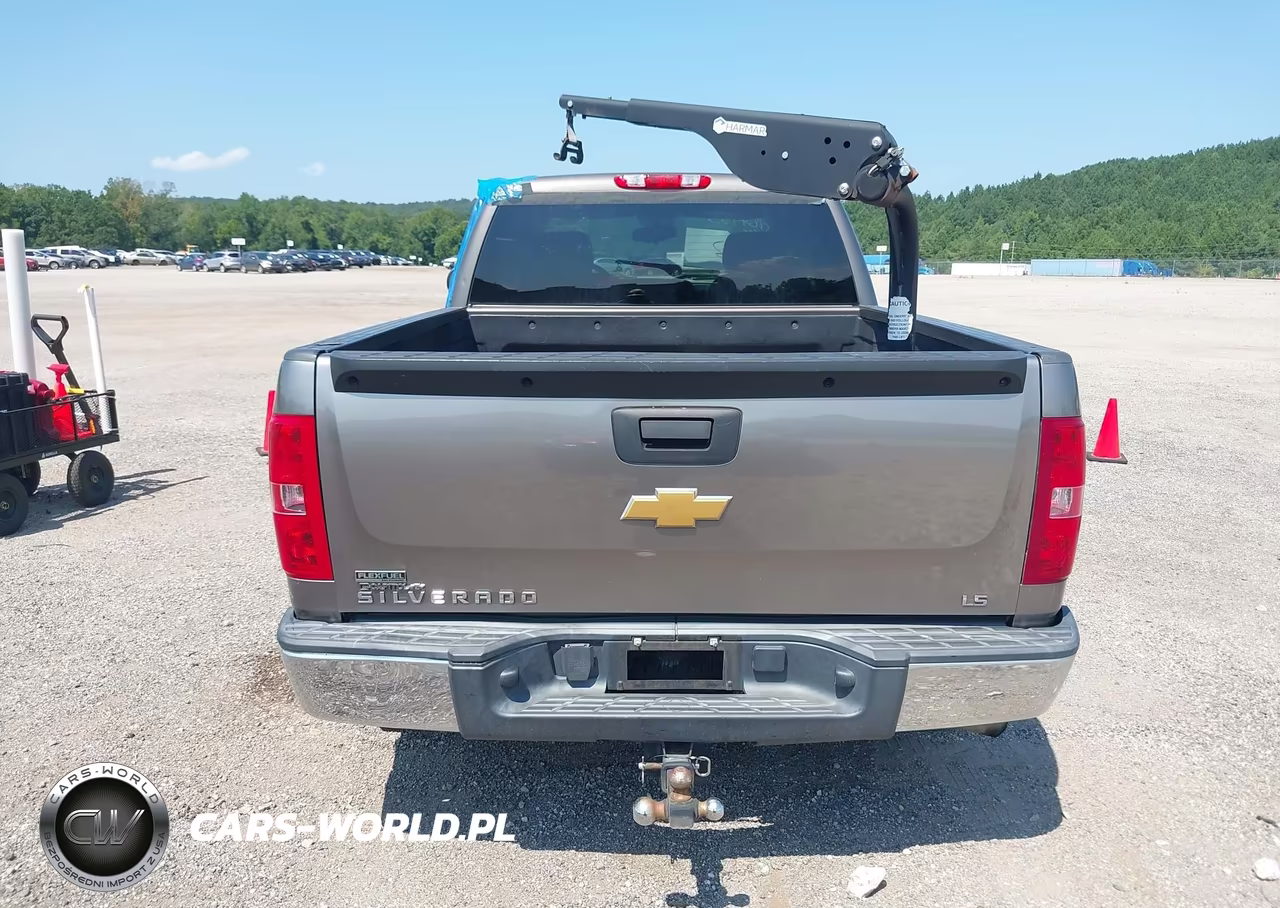 2012 Chevrolet Silverado 1500 Ls VIN:1GCRCREA0CZ226429 - 17