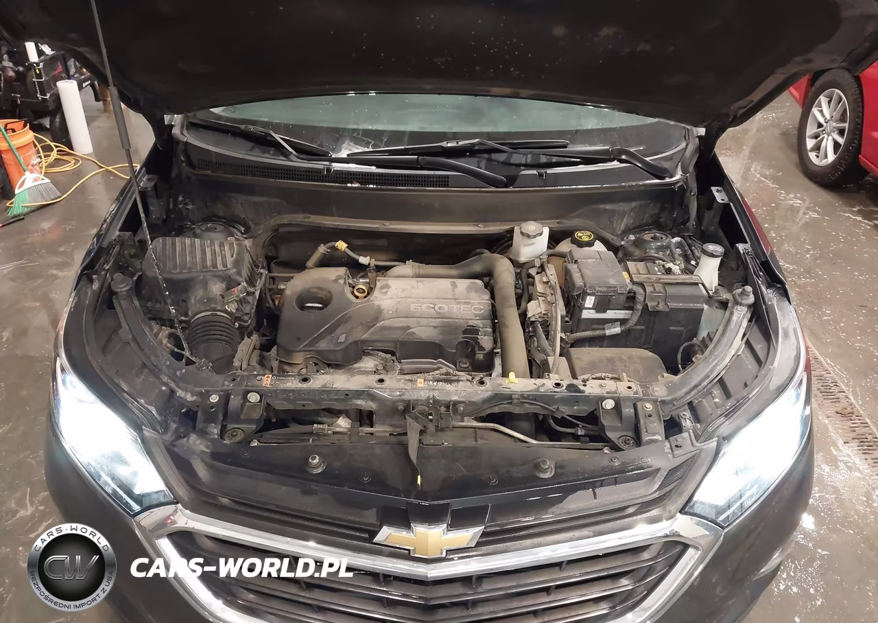 2019 Chevrolet Equinox Lt VIN:2GNAXUEV3K6103443 - 10