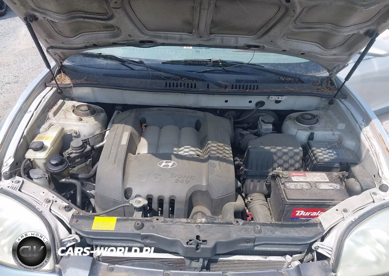 2002 Hyundai Santa Fe Gls-Lx VIN:KM8SC73D82U258104 - 10