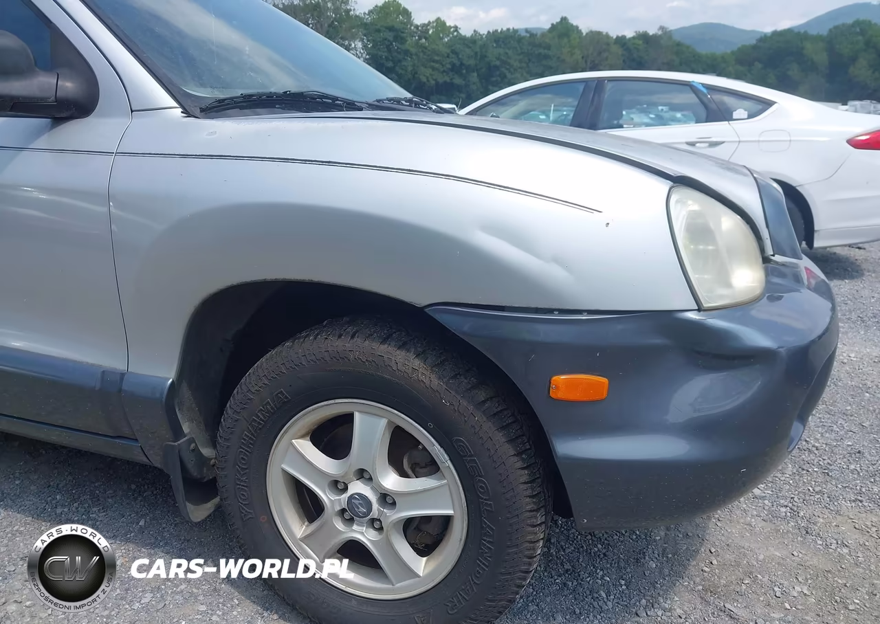2002 Hyundai Santa Fe Gls-Lx VIN:KM8SC73D82U258104 - 12