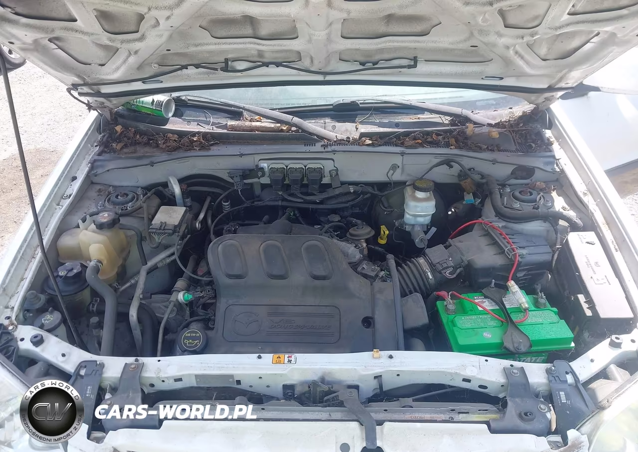 2006 Mazda Tribute S VIN:4F2CZ94116KM11401 - 10