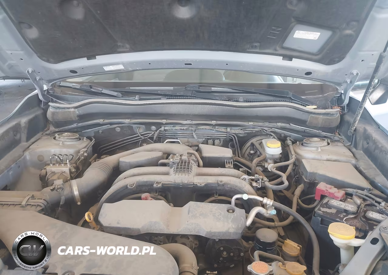 2017 Subaru Forester 2.5I VIN:JF2SJABC0HH419211 - 10