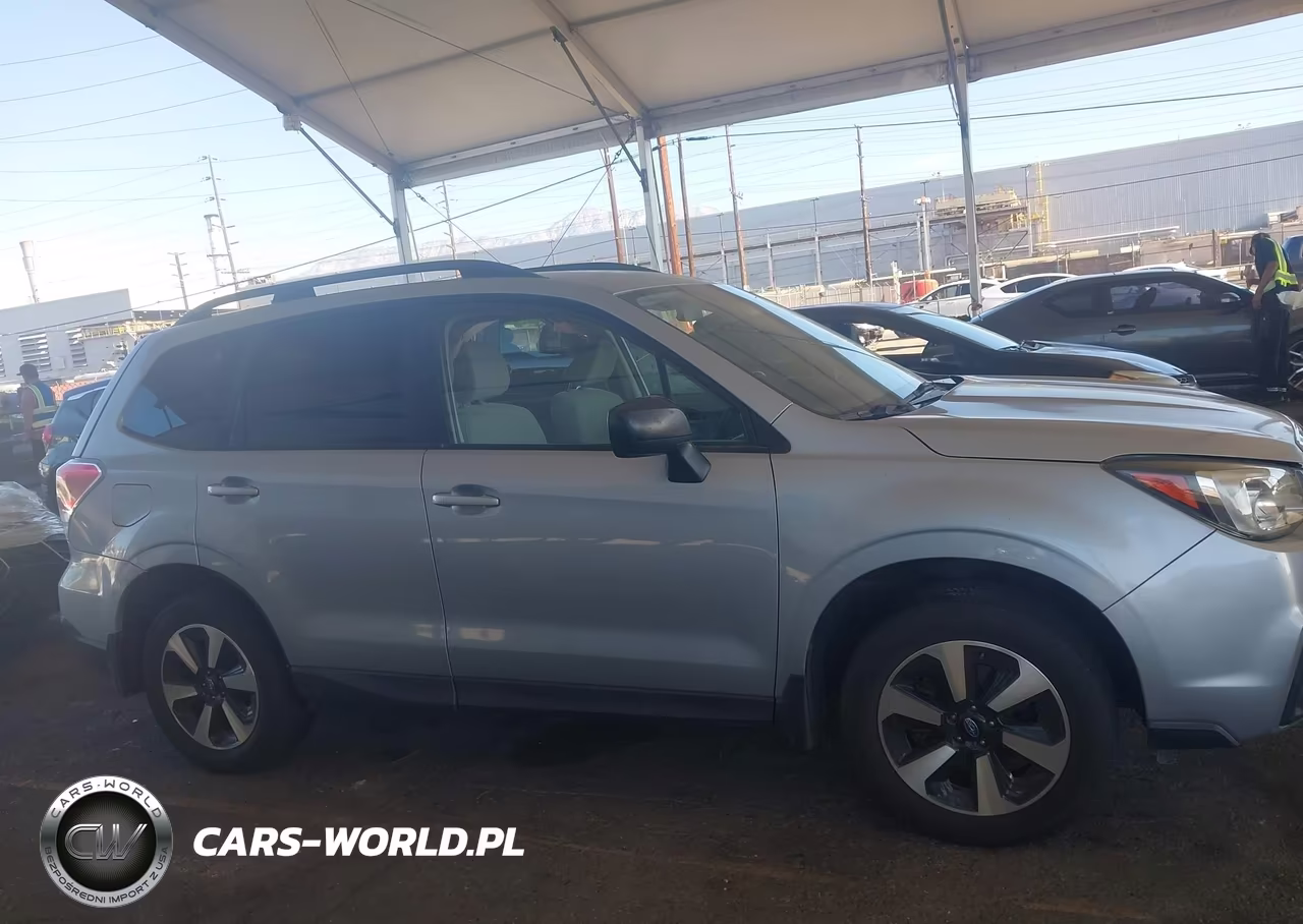 2017 Subaru Forester 2.5I VIN:JF2SJABC0HH419211 - 13