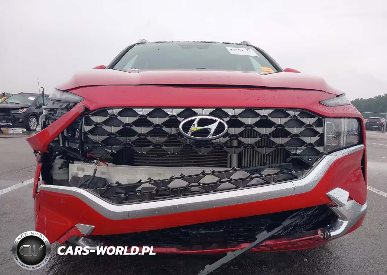 2023 Hyundai Santa Fe Calligraphy VIN:5NMS5DAL5PH556423 - 12