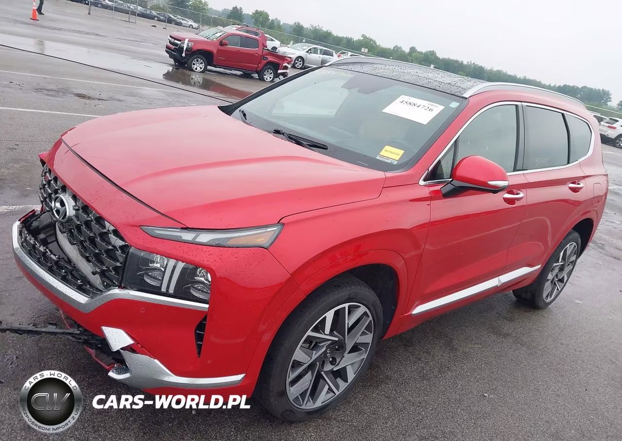 2023 Hyundai Santa Fe Calligraphy VIN:5NMS5DAL5PH556423 - 2