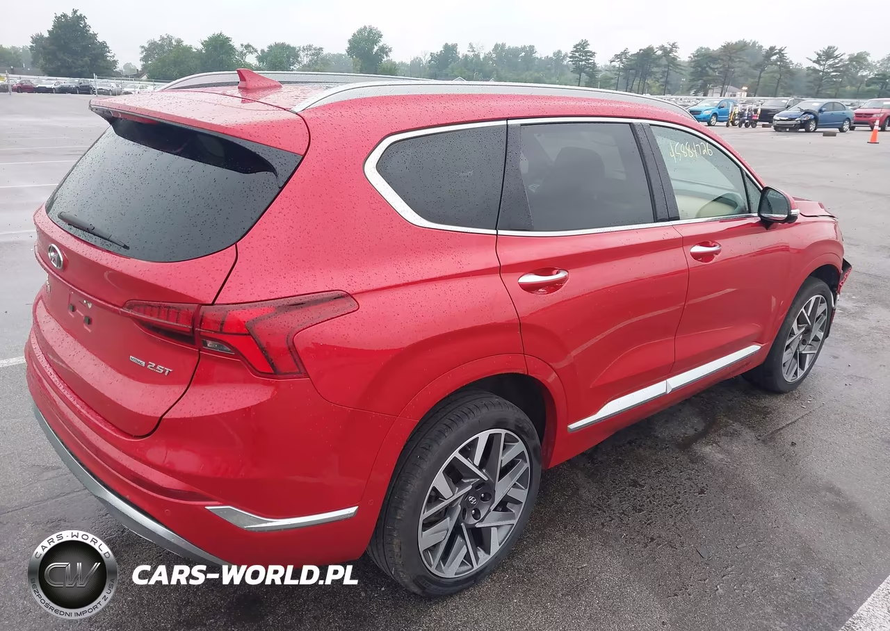 2023 Hyundai Santa Fe Calligraphy VIN:5NMS5DAL5PH556423 - 4