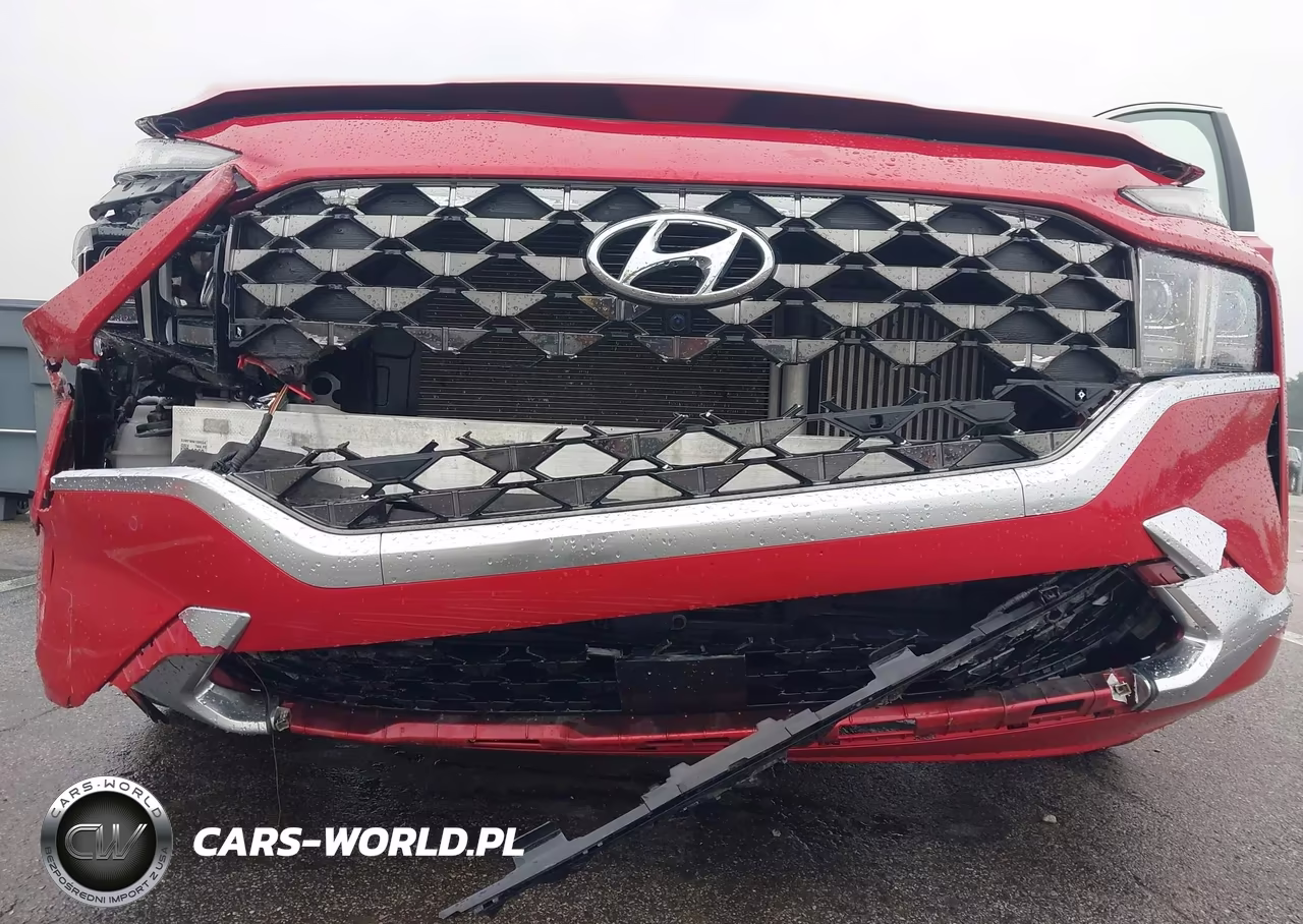 2023 Hyundai Santa Fe Calligraphy VIN:5NMS5DAL5PH556423 - 6